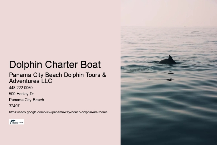 Panama City Beach Snorkeling & Dolphin Tours