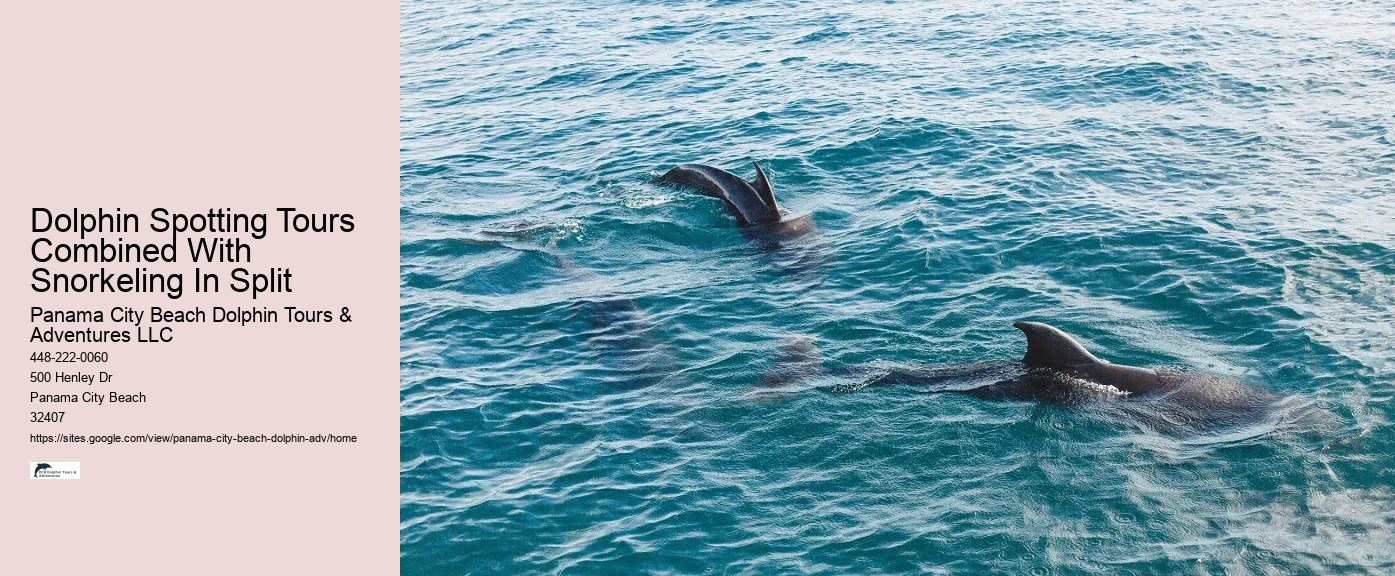 Panama City Beach Dolphin Jet Ski Tours