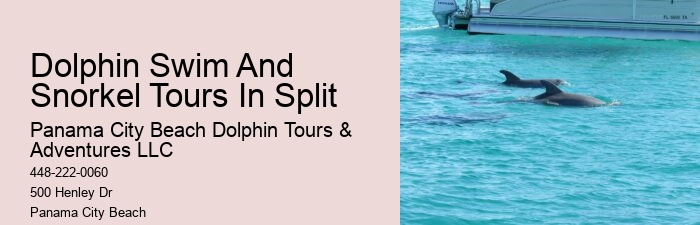 Private Dolphin Tours
