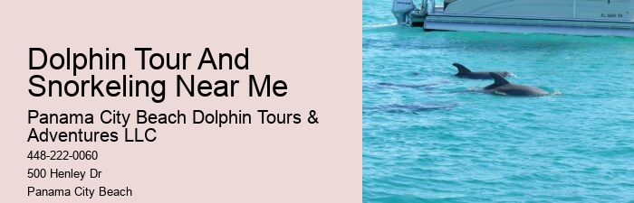Split Thrilling Dolphin And Snorkeling Charters