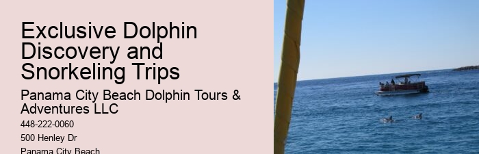 What is the duration of the dolphin watching portion of the tour