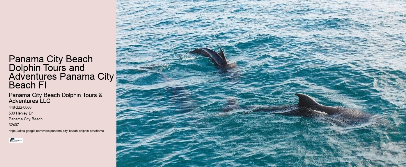 Do Dolphins Ever Bite Hooks