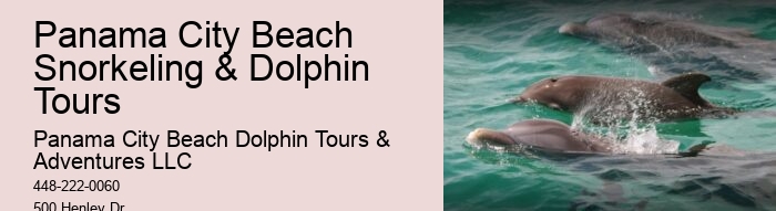 How close do the dolphin boats get to the dolphins in Panama City Beach