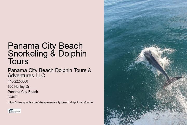 Salty Mary Dolphin And Snorkel Tours