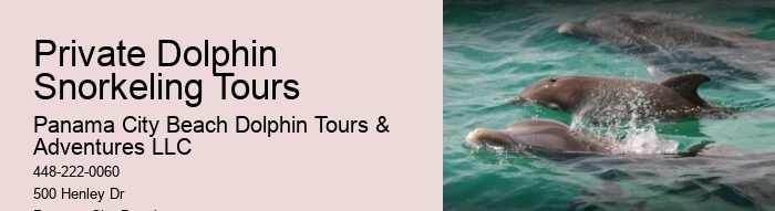 Dolphin Tours Tarpon Springs