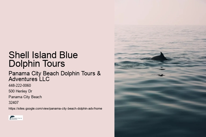 Split Dolphin Spotting And Snorkel Trips