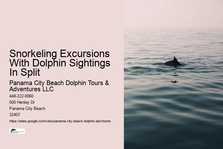 Dolphin Tours Treasure Island