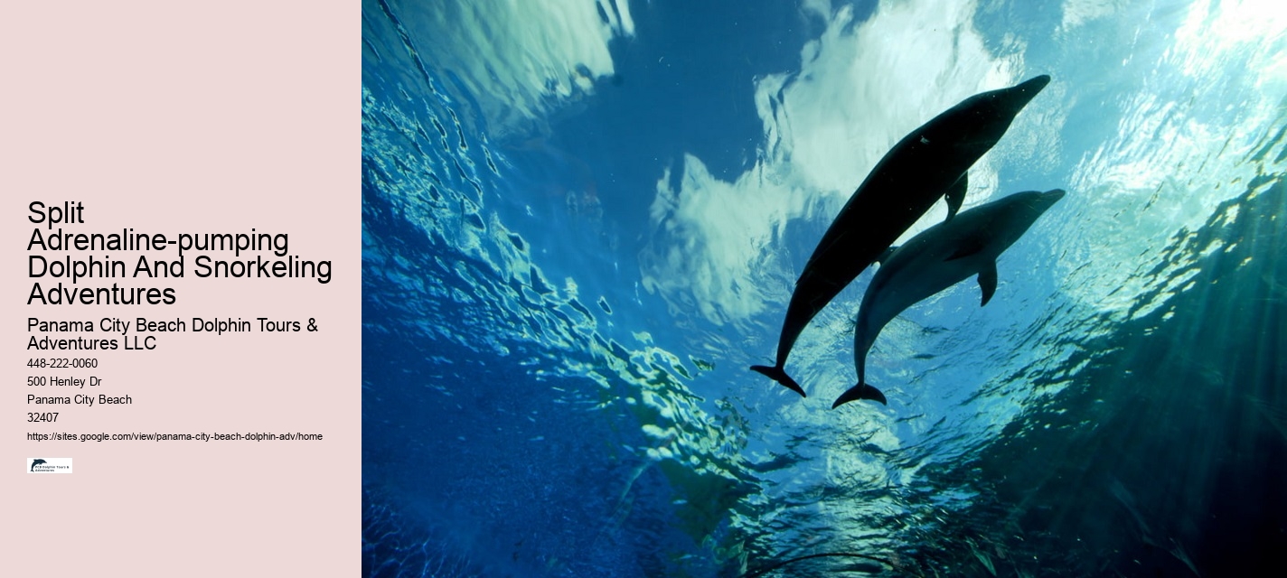 Split Family-friendly Dolphin And Snorkeling Tours