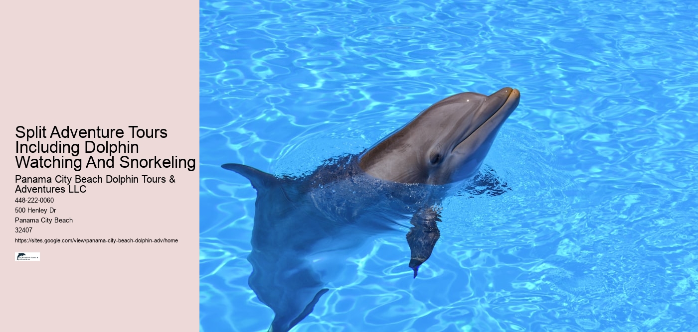 Best Dolphin Cruise Panama City Beach