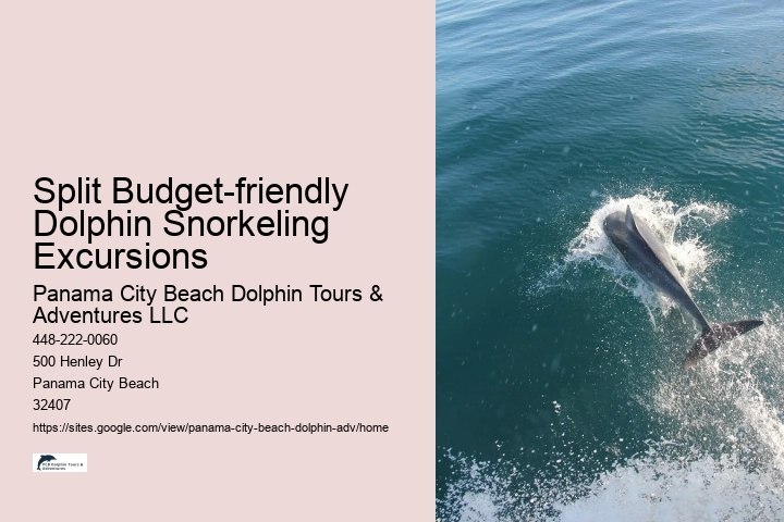 Split Marine Tours With Dolphin Encounters