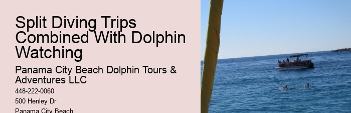 PCB Dolphin Discovery Cruises