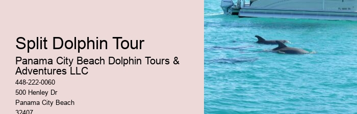 Split Customized Dolphin And Snorkeling Itineraries