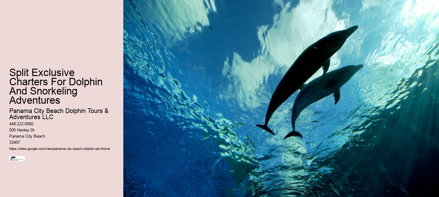 Panama City Beach Speed Boat Tour