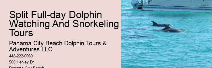 Tailored Dolphin Safari and Snorkeling Adventures