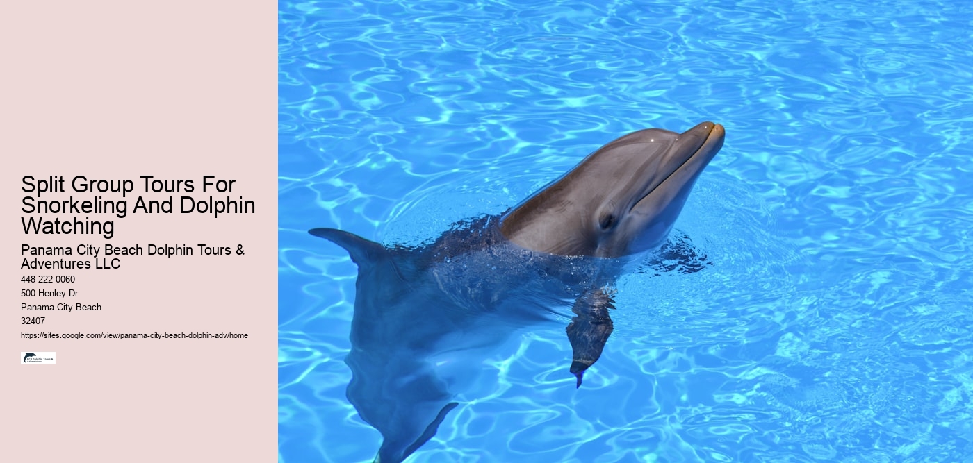 Is swimming with dolphins an additional cost on the tour