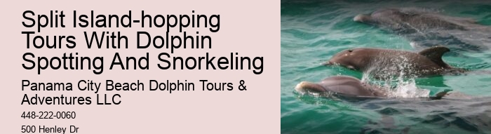 Split Small-group Guided Dolphin And Snorkeling Tours
