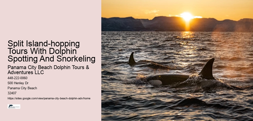 Rudee Flipper Dolphin Tours Virginia Beach