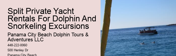 Secluded Dolphin Spotting with Snorkeling