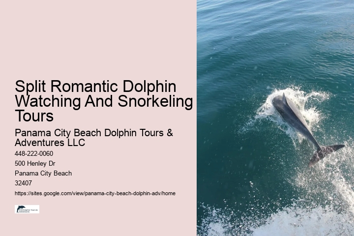 Dolphins Like To Play!