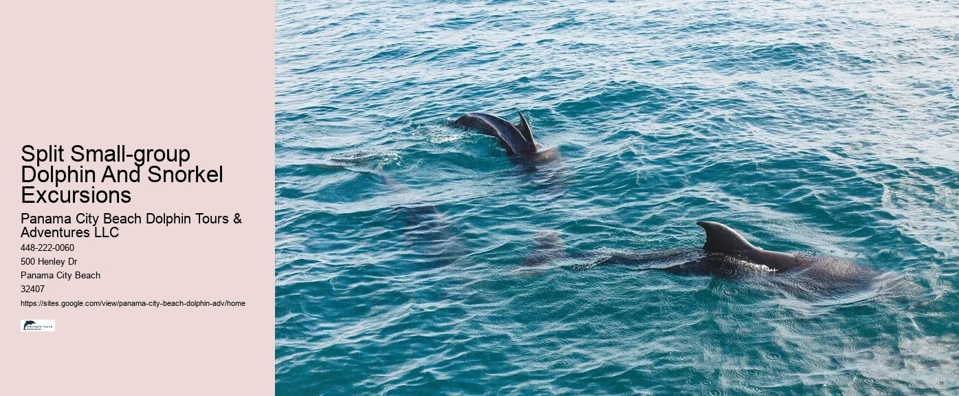 Port Aransas Dolphin Tours