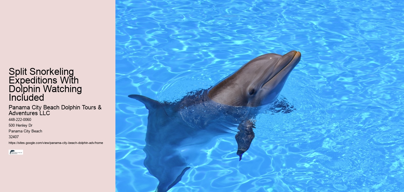 Do Dolphins Swim With Humans