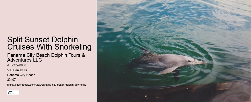 Eco-friendly tourism