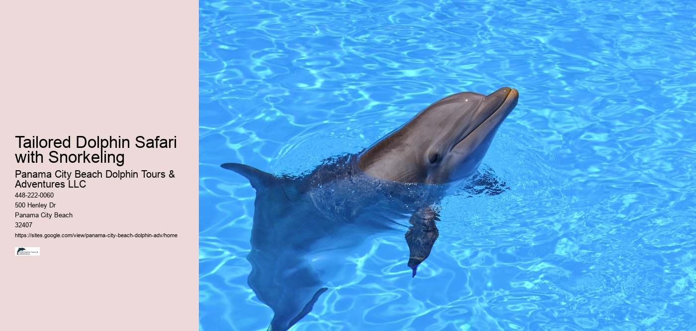 Dolphin Encounter And Snorkeling Expeditions In Split