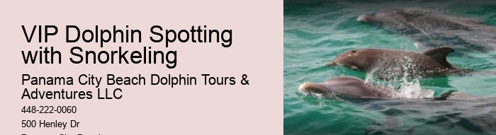 Snorkeling Charter Near Me